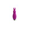 Crazzy Bunny Rechargeable Mini Vibe