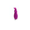 Crazzy Bunny Rechargeable Mini Vibe