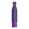 Royal Gems Twinkle Rechargeable Silicone Bullet