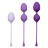 Kegel Trainer Set