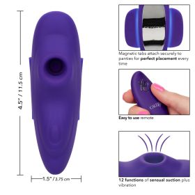 Lock-N-Play Remote Flicker Panty Teaser (Color: Suction Panty Teaser)