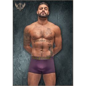 Avant-Garde Enhancer Short Eggplant S (Color: Eggplant, size: S)