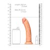 Curved Realistic Dildo With Balls And Suction Cup